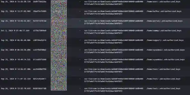 Attack Observation: Honeypot - First Breach Report